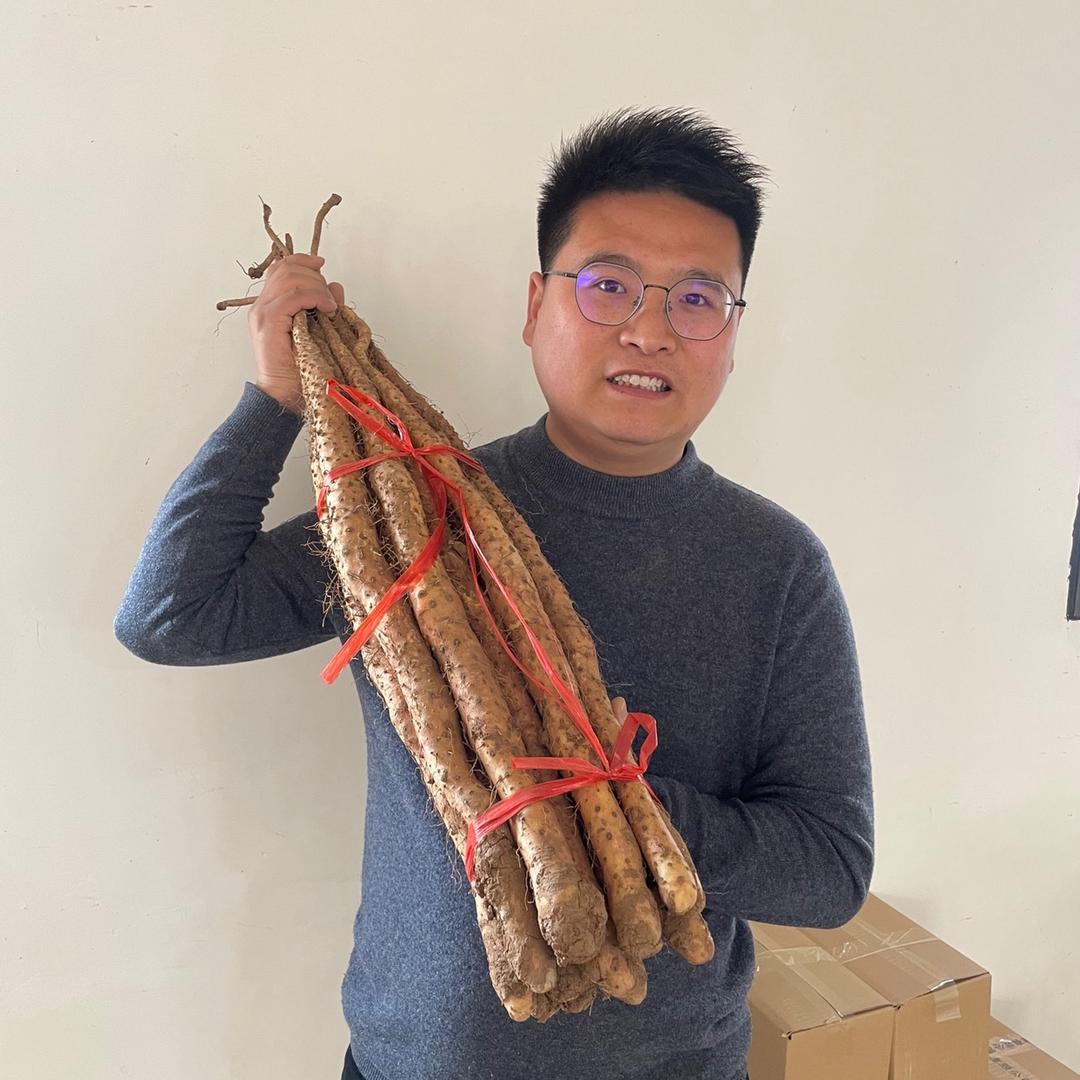 怀小童山药地黄(中医师承中)