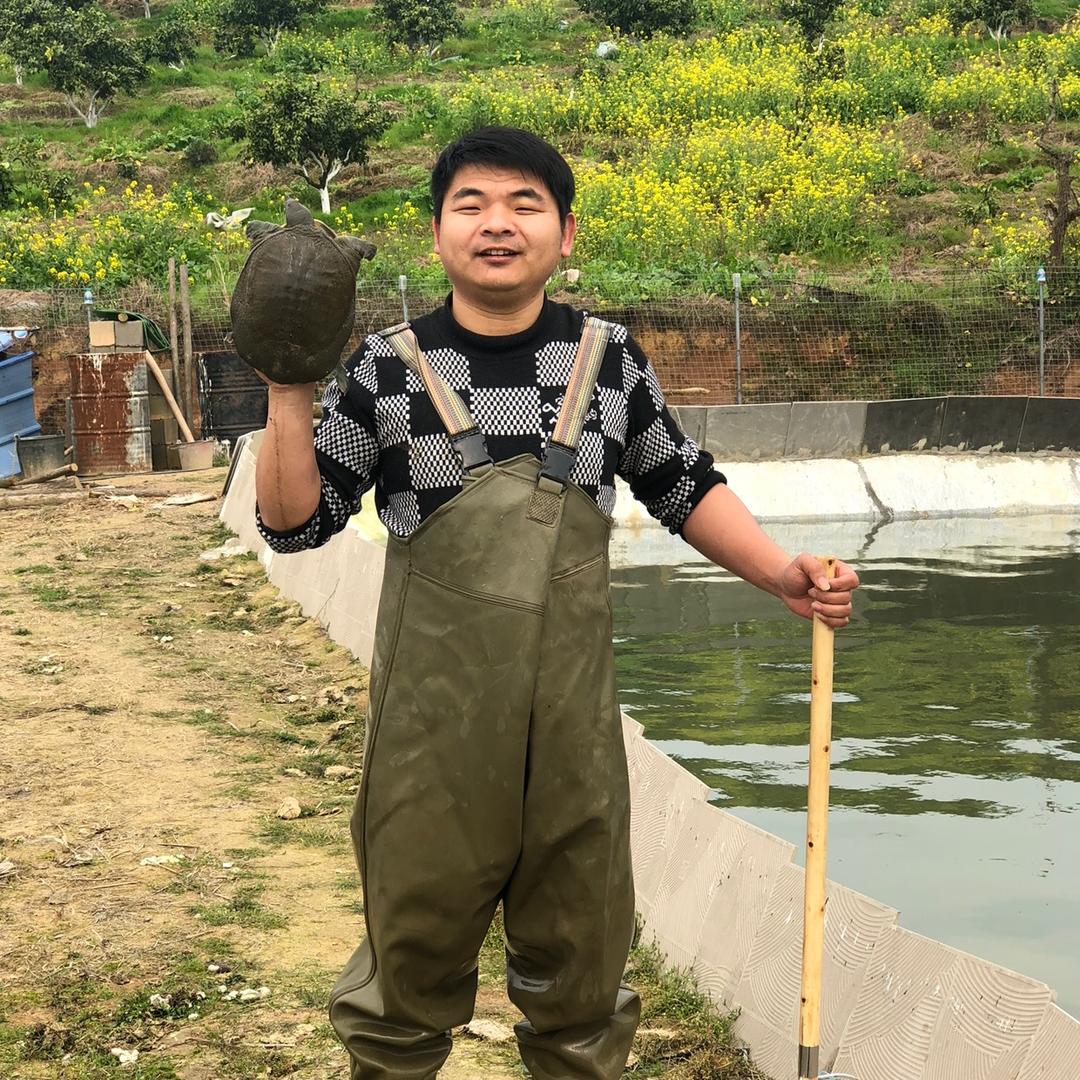 小王农产品养殖行