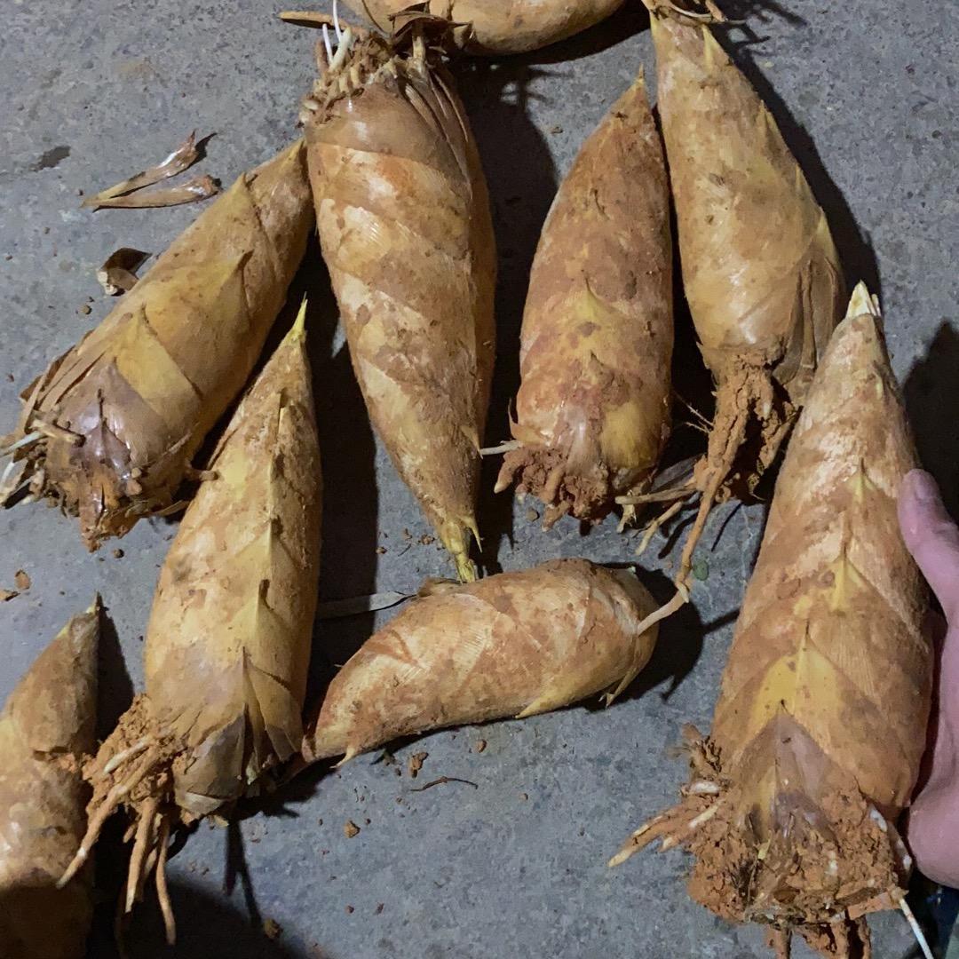 寻味山珍