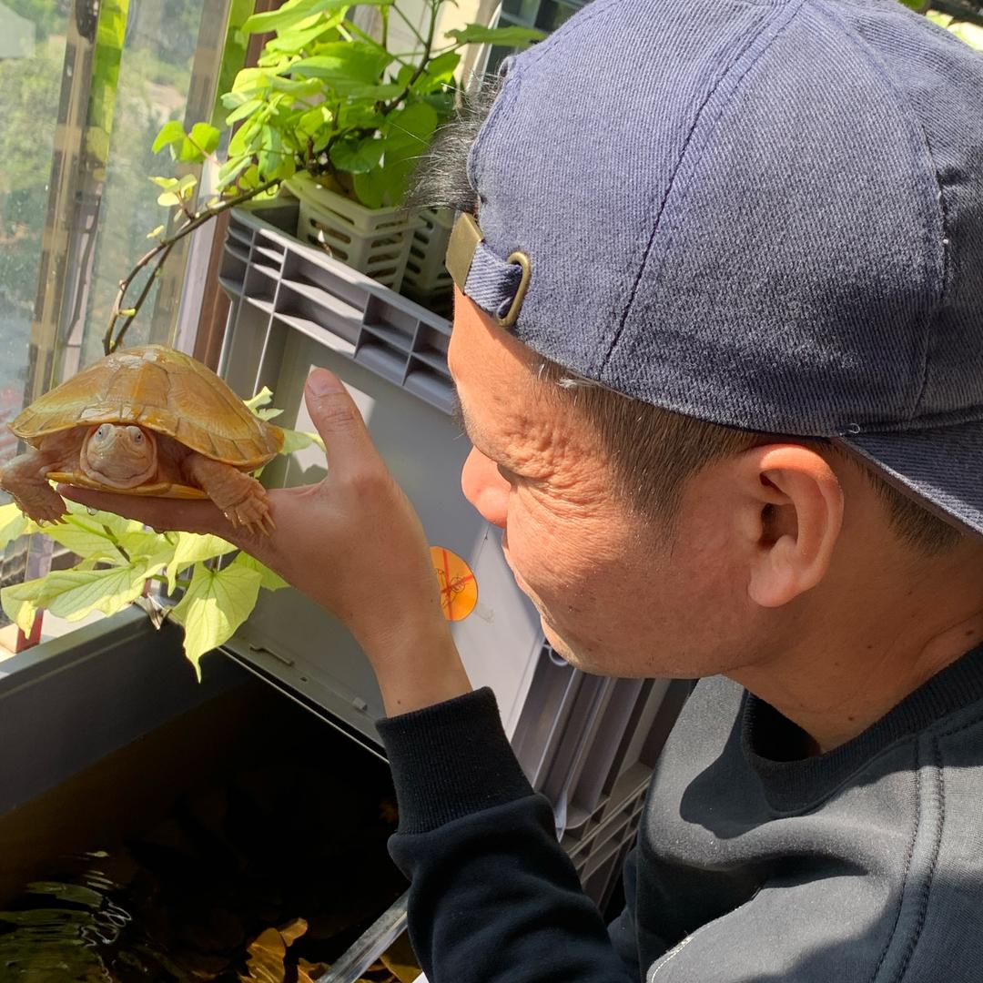 老李鱼龟手记