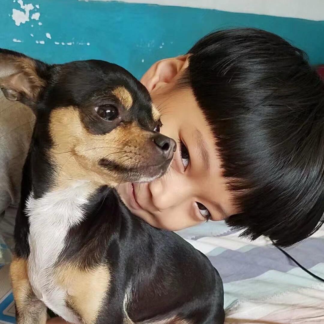 㞢㤫🦊
