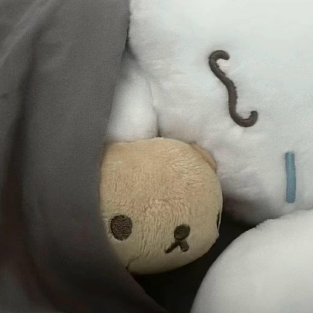 小燃ovo（零距离版）