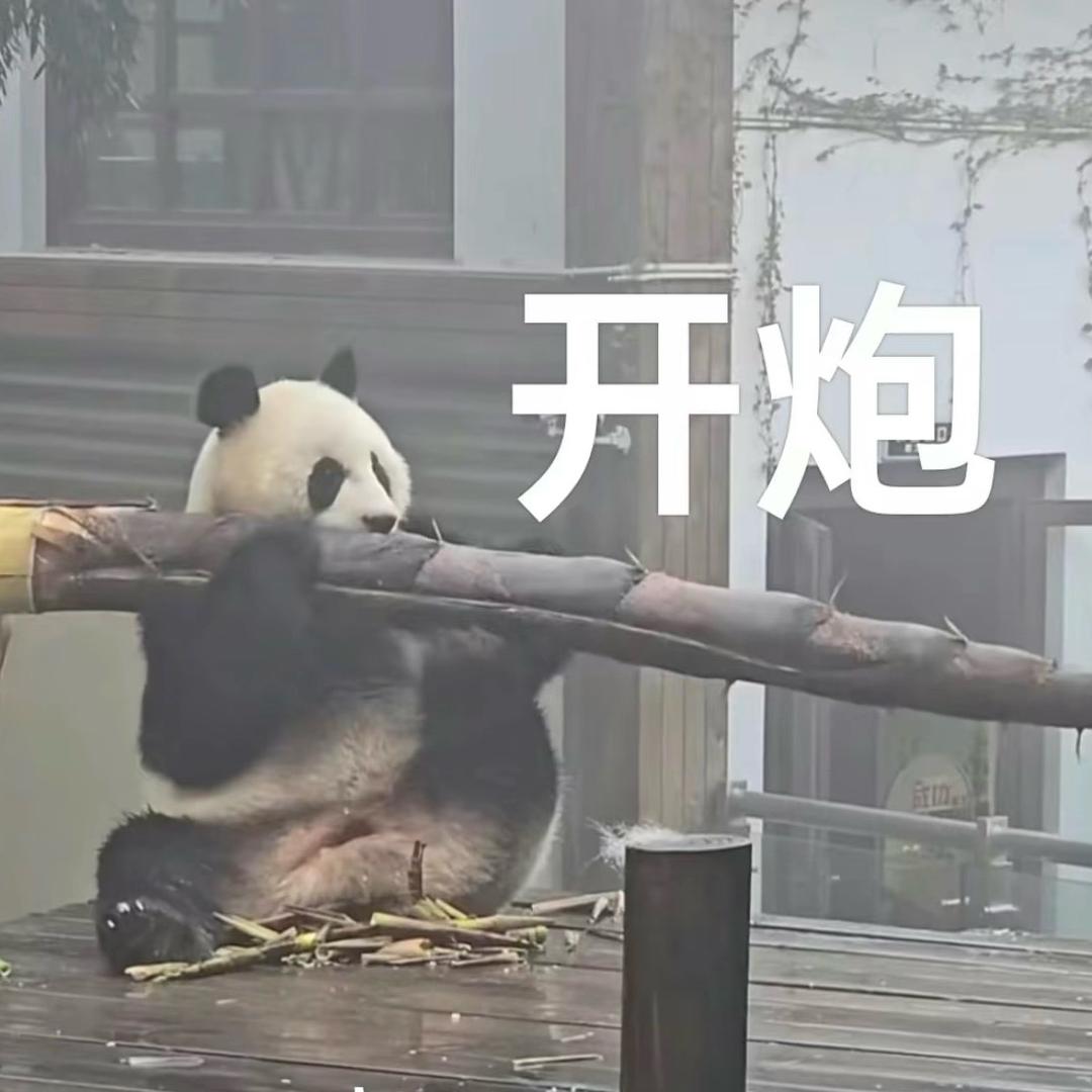 菜都睡不着
