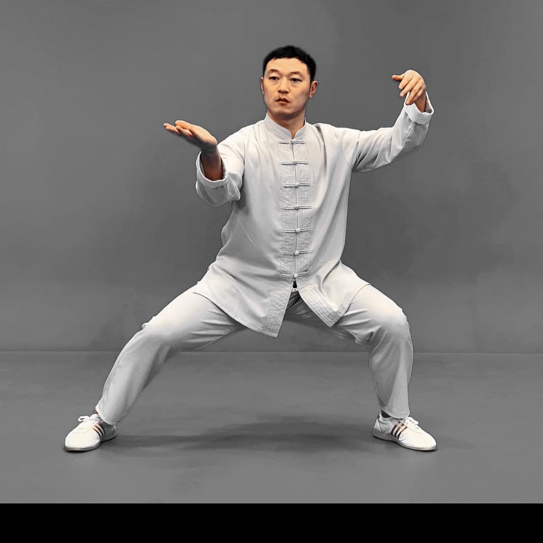 太极王岩