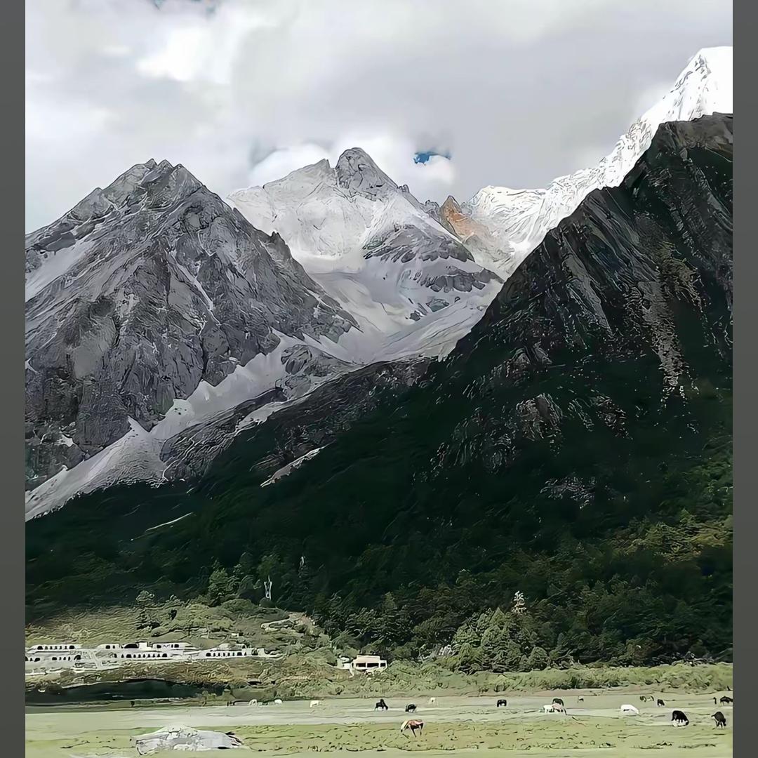 重生之菲菲在驻马店做电商@