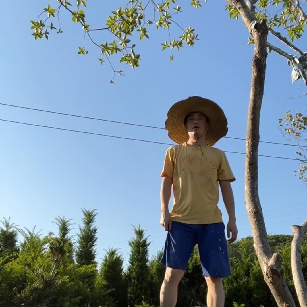 栽树小伙