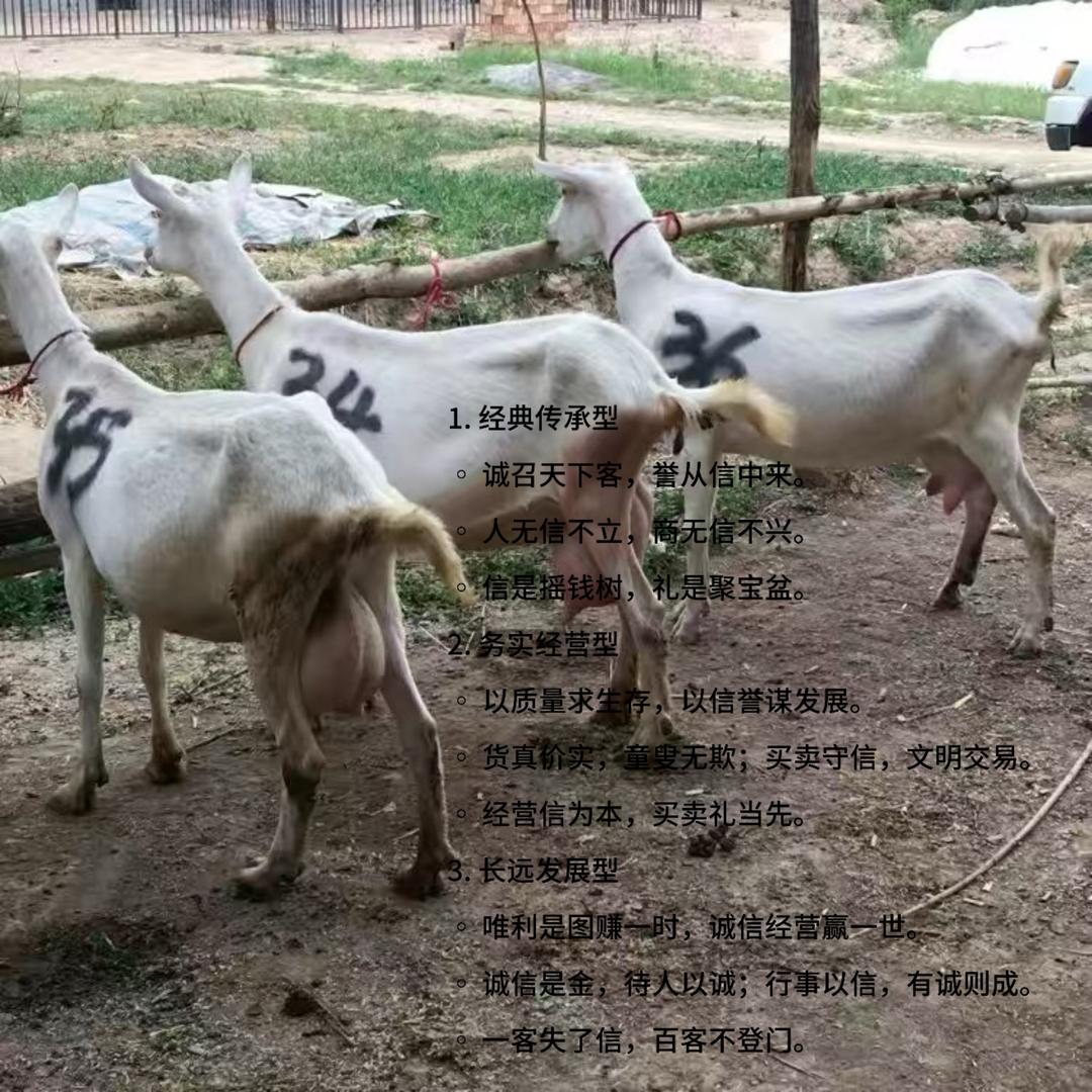 富平县张猛奶山羊养殖场（个体工商户）