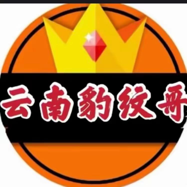 【云南豹纹哥】