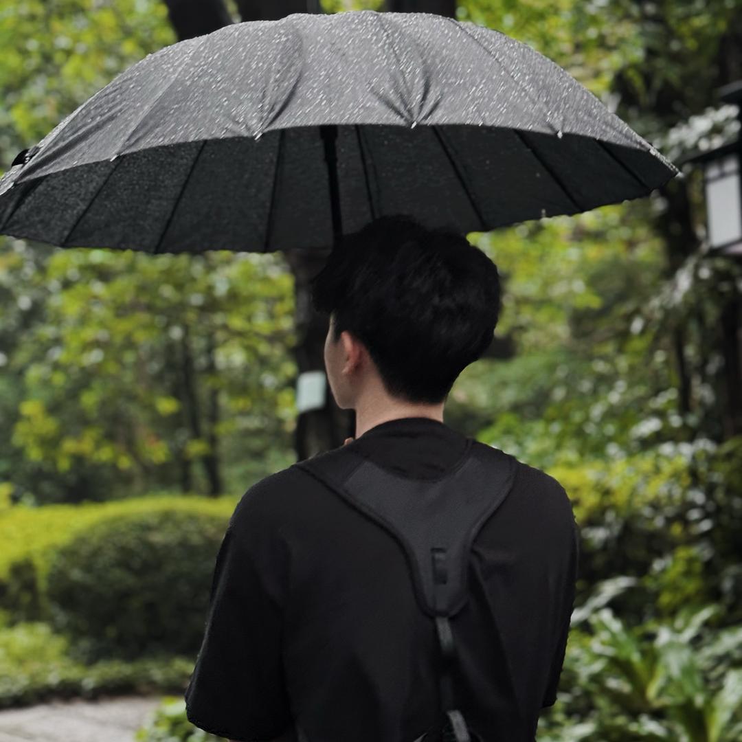 兴有林夕