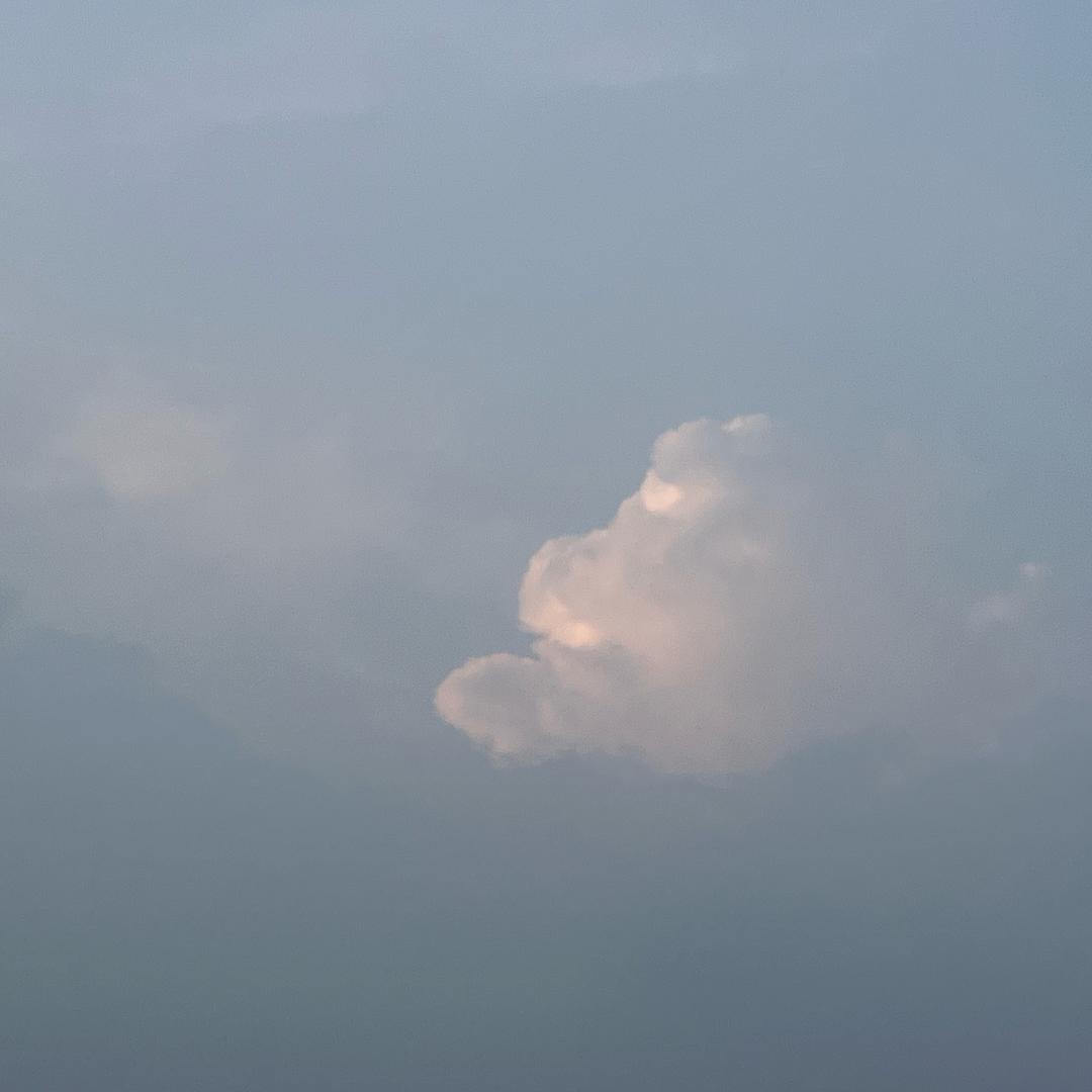 （好好学习版