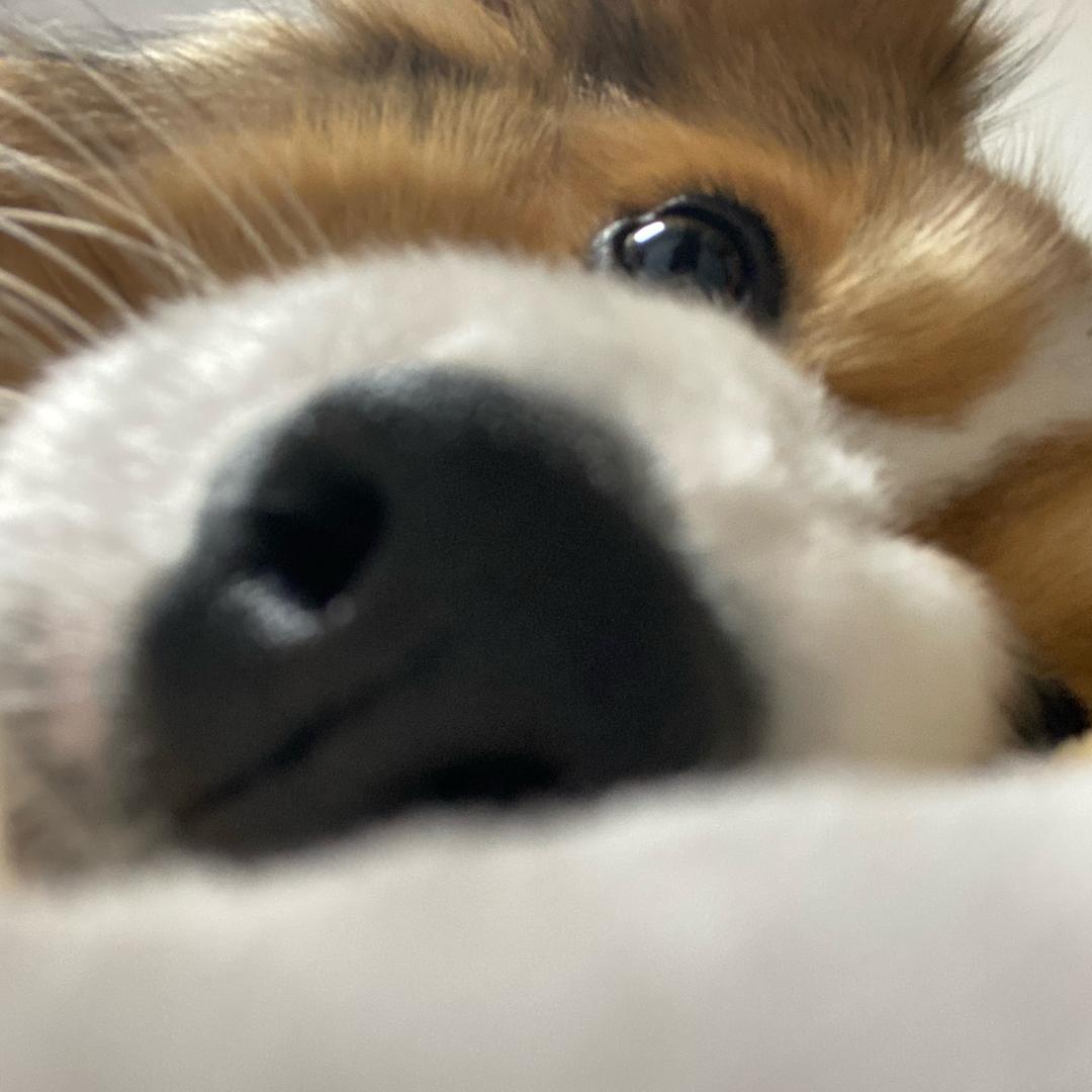 好吃🧸