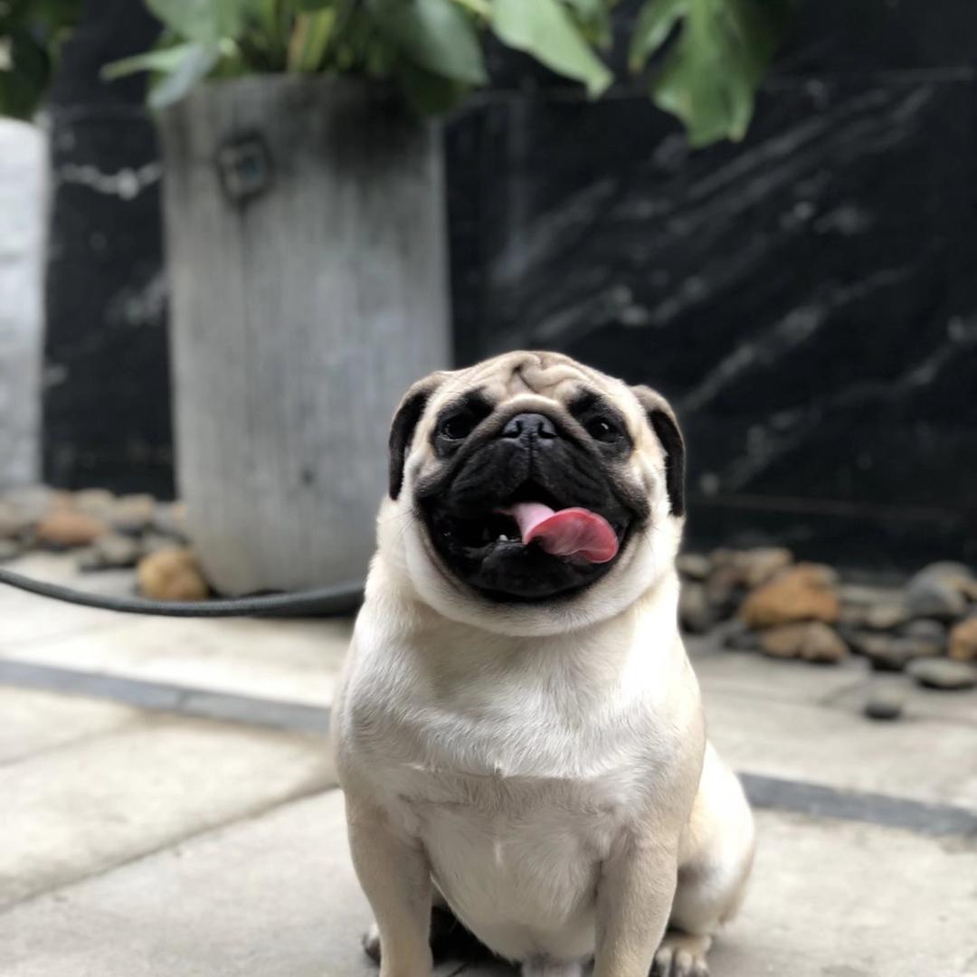 D.