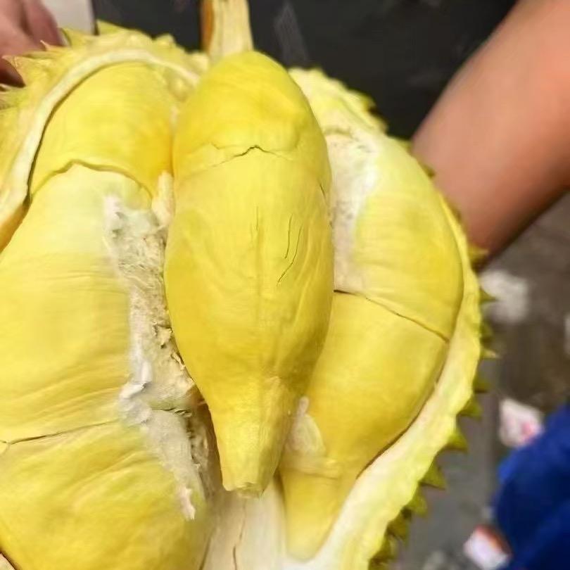 李榴榴泰国榴莲