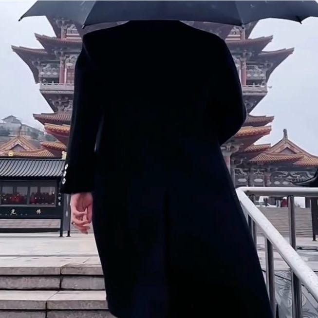 陕西严八万