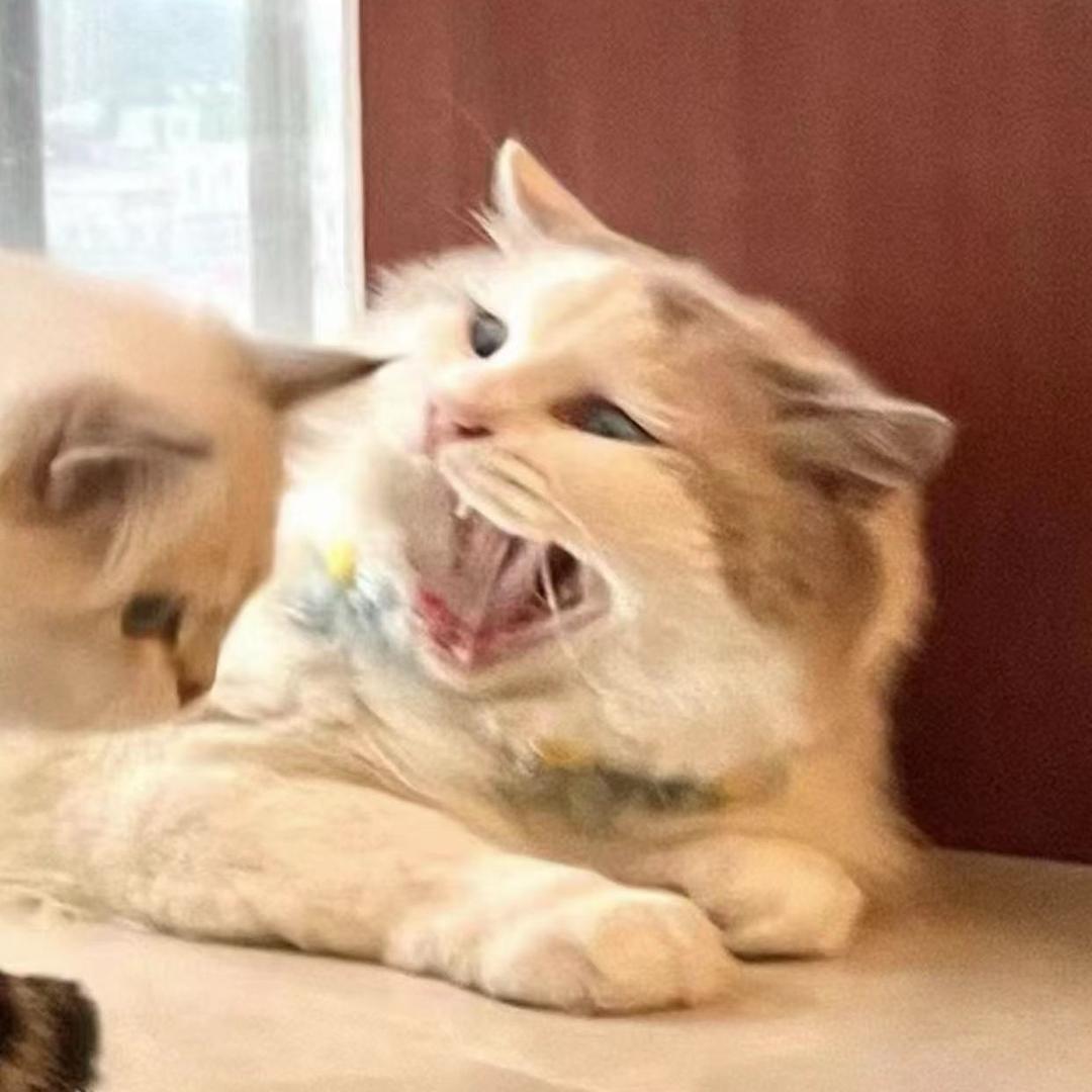 米