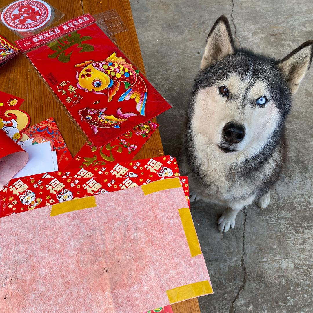 富老太最爱的男人