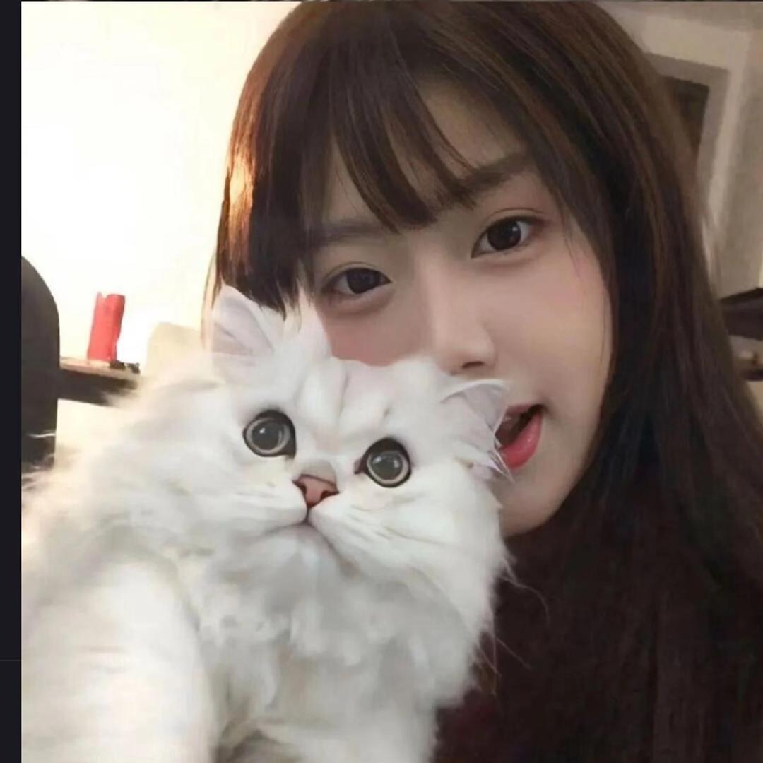 江东.
