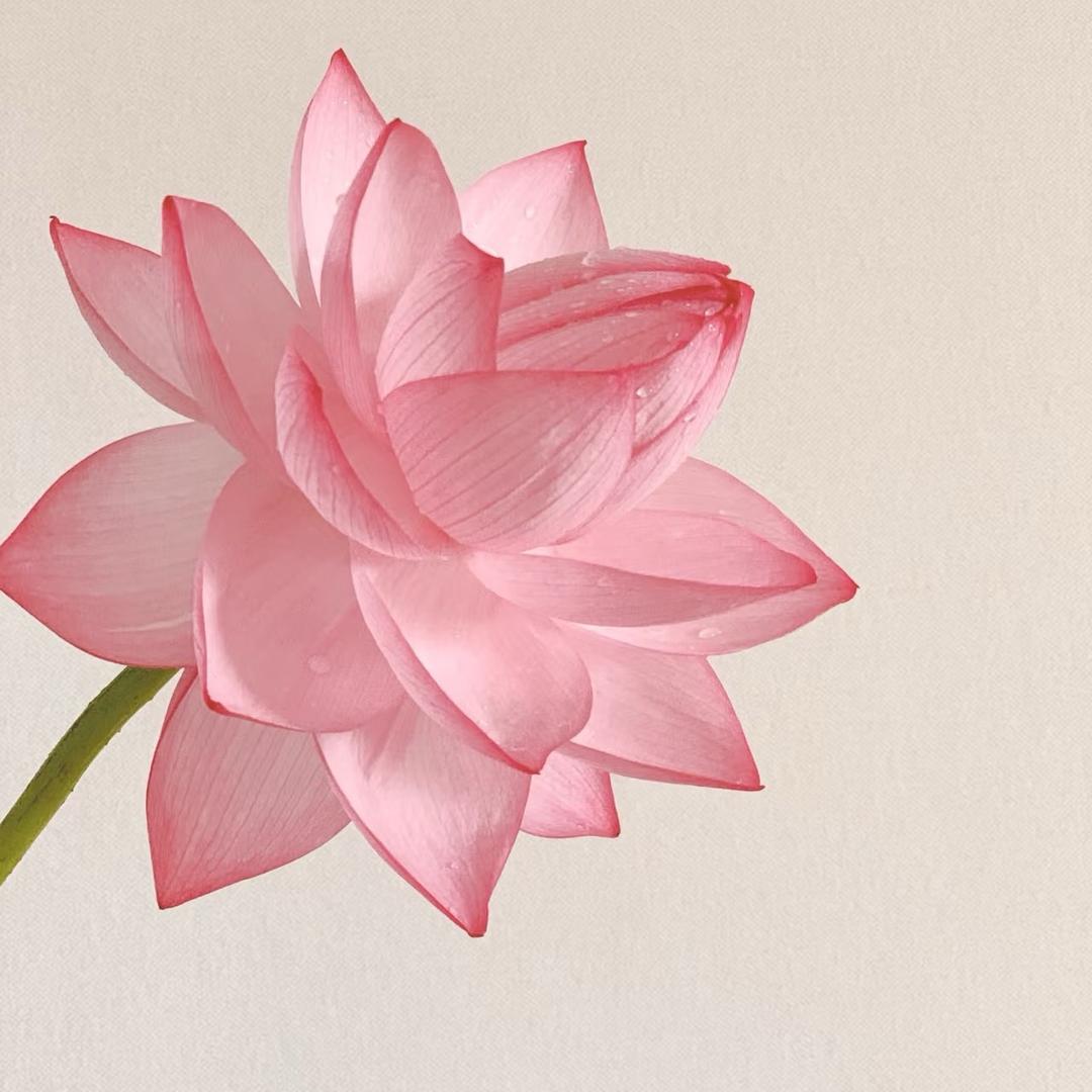 上上签🎀