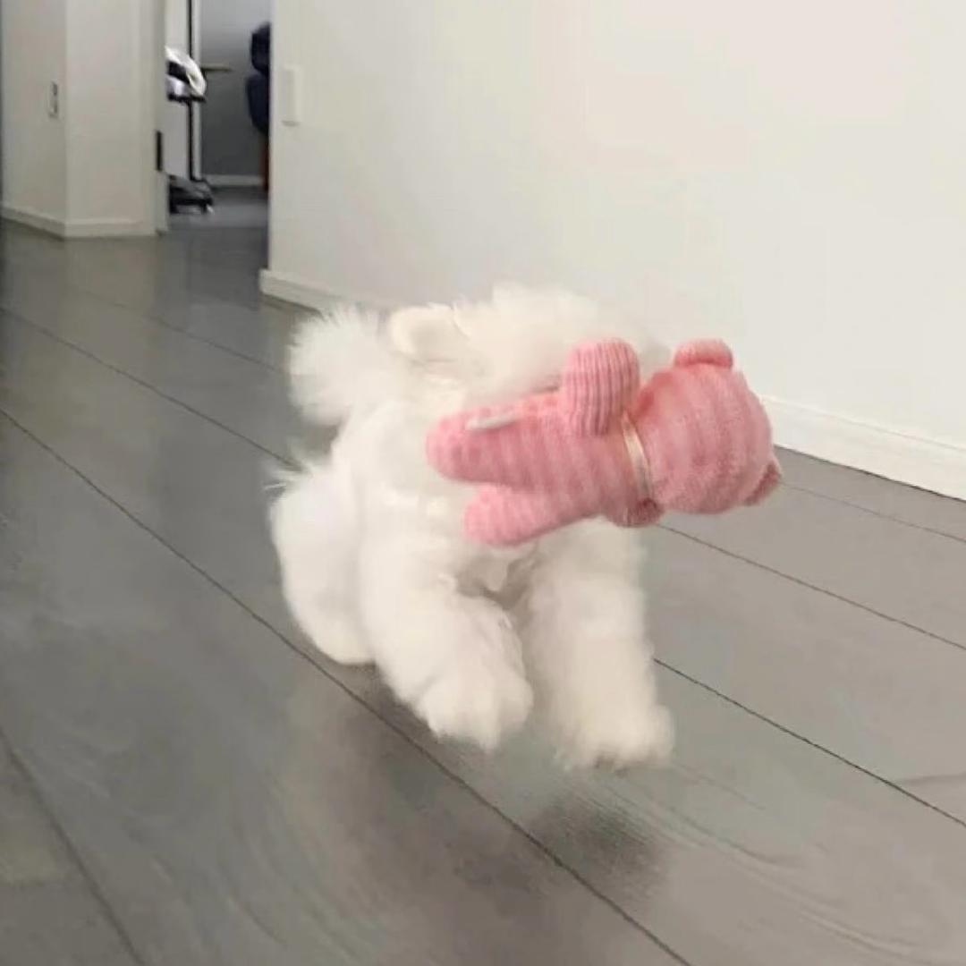 EL.
