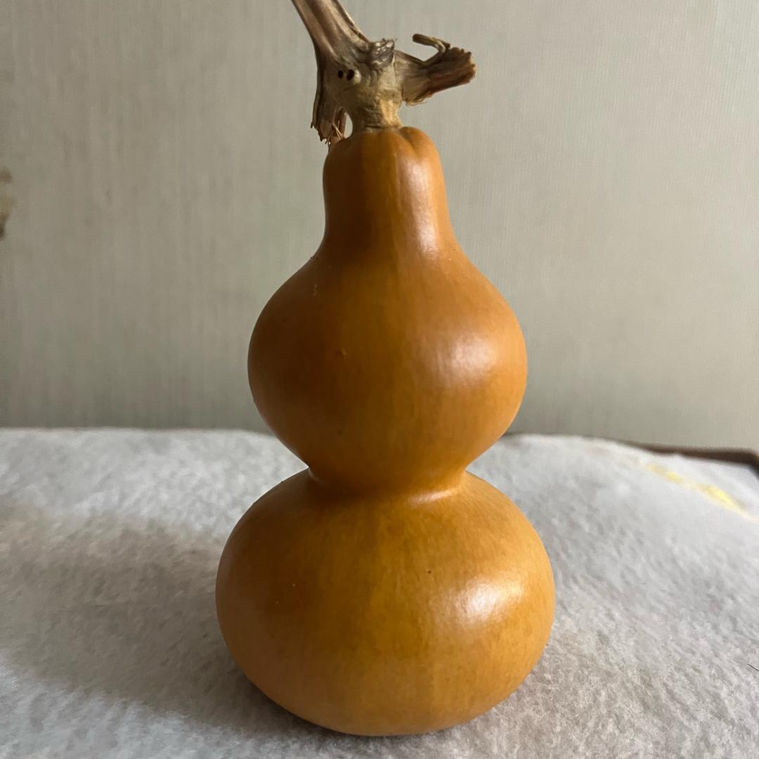 聚缘文玩回血