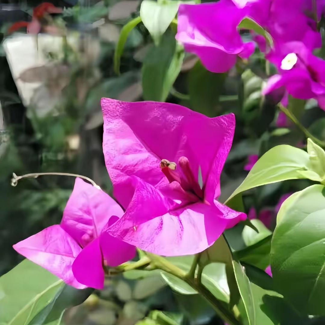 你好
