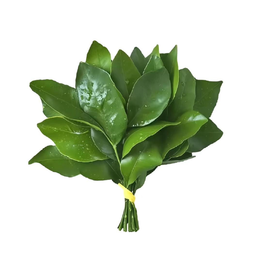 喻
