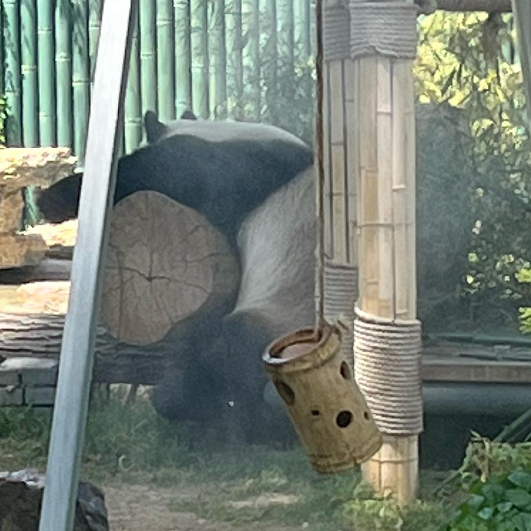 木语成林头像