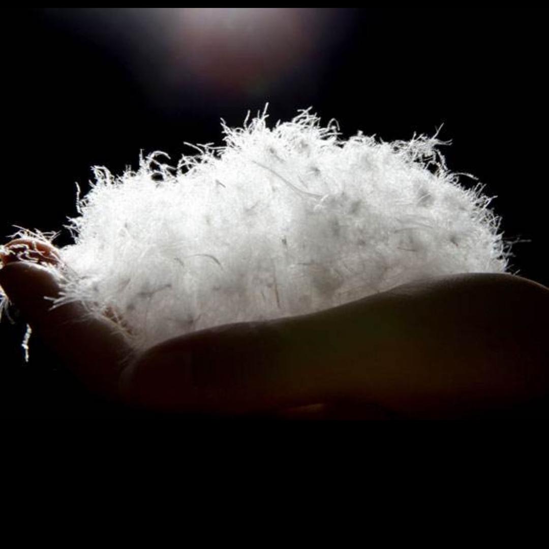 洪湖世家义乌市丹瑶服饰有限公司女装专卖店