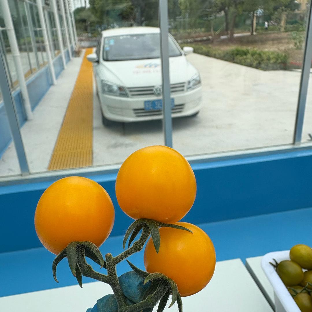 夏小周的基地工作日志