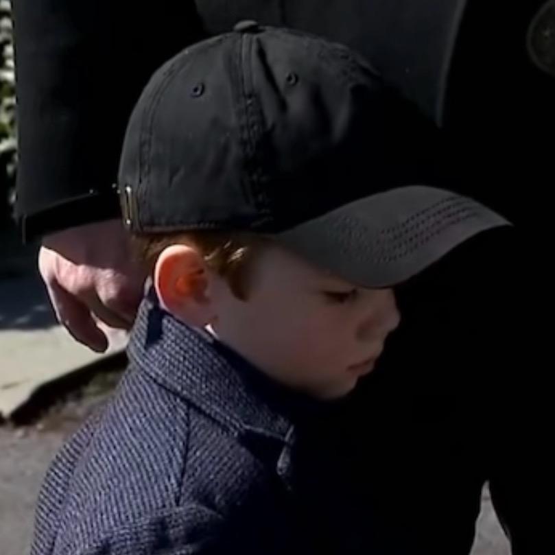 老实说其实我喜欢小狗