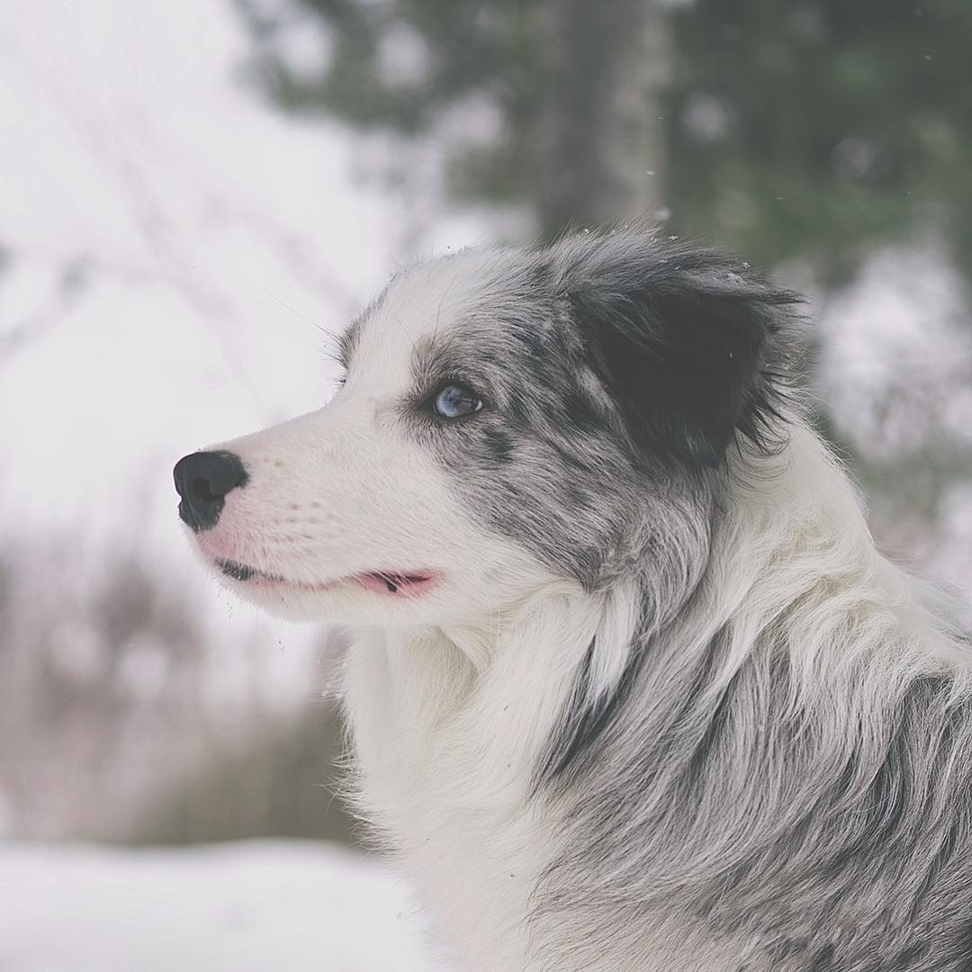 Murphy