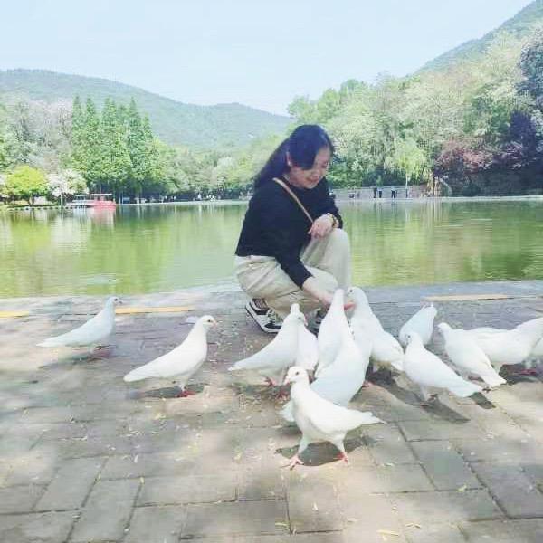 淡然于心