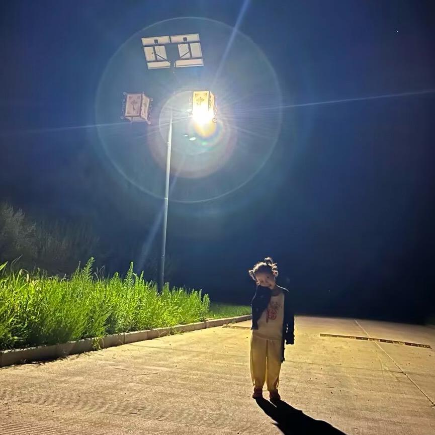 李丹李丹李