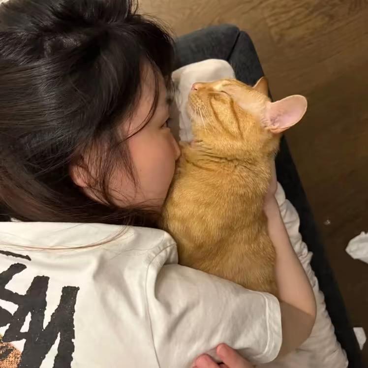 总是这样