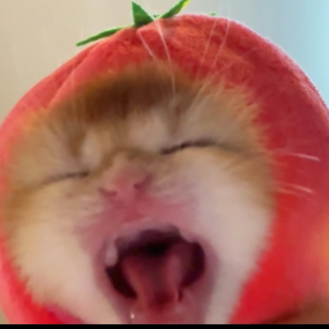 好椰