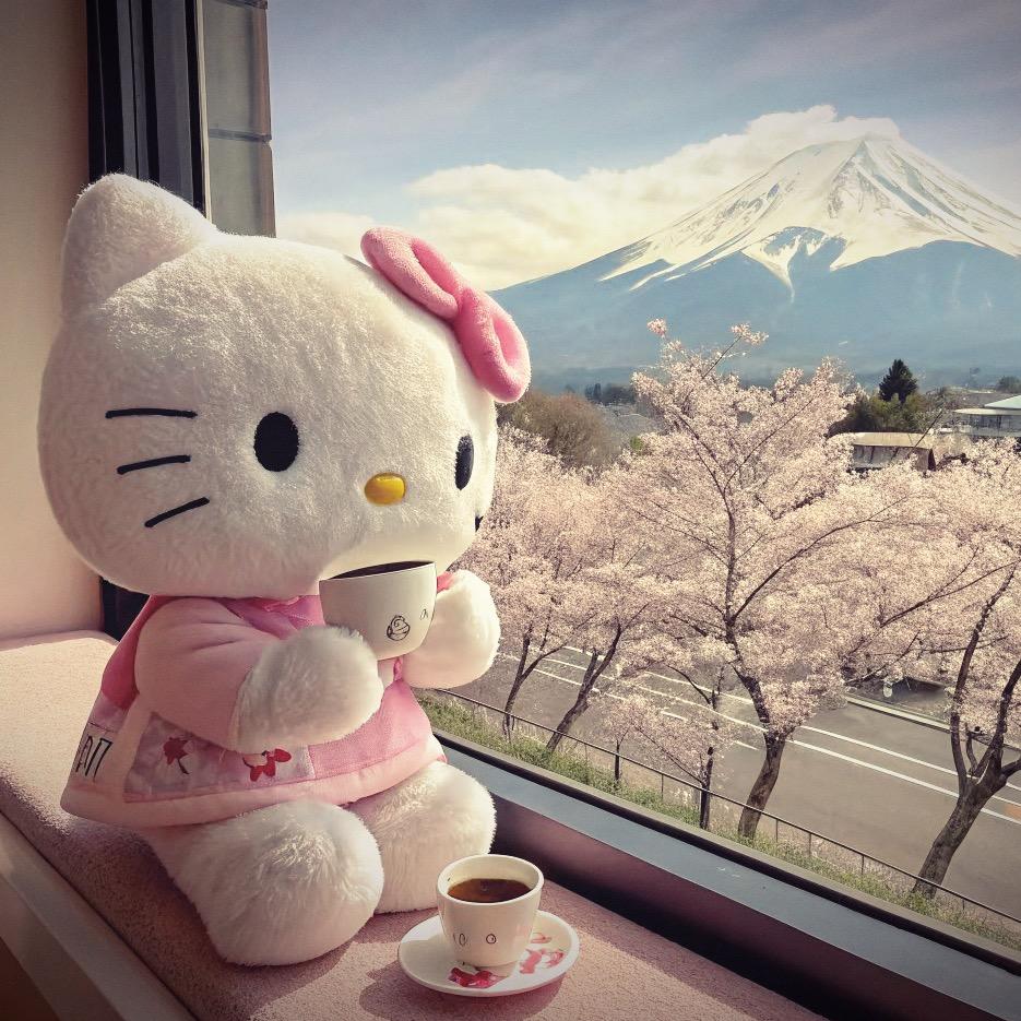 🌈猪猪yang✨💫🎀✨