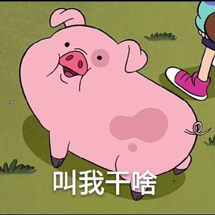 娇娇妹