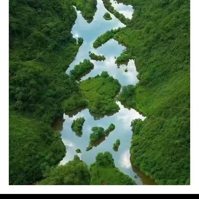 疯一样的少年