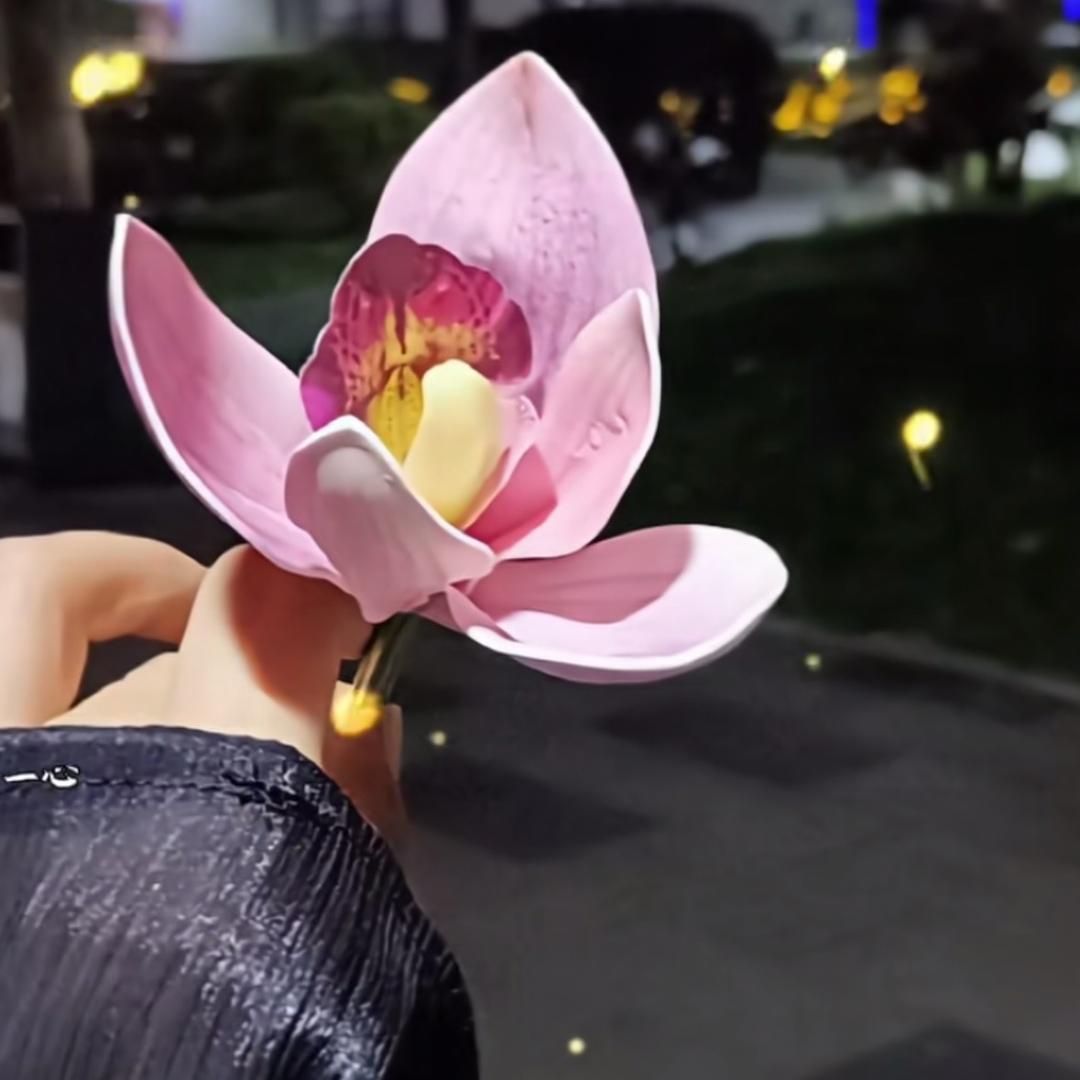 娜姆