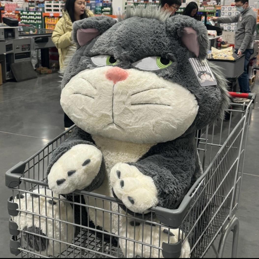 ૮・ᴥ ・ ა