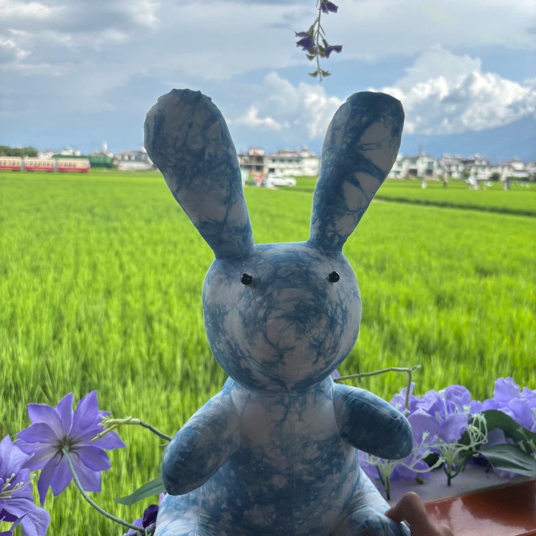 小萌萌的妈妈（互关）