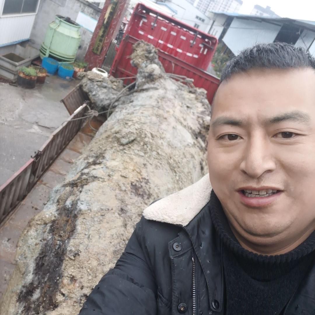 段王爷金丝楠文化传媒
