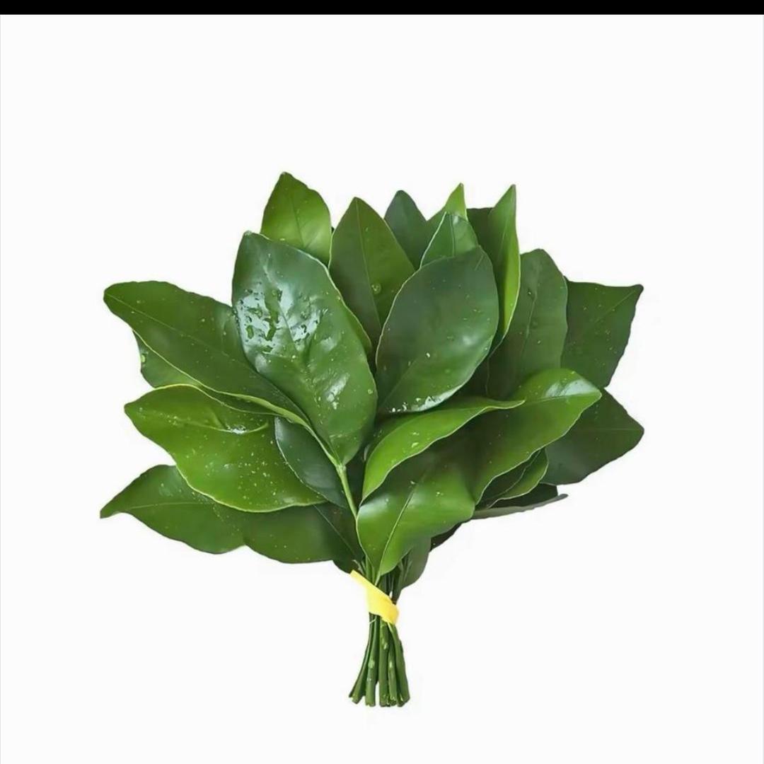 清零🎶