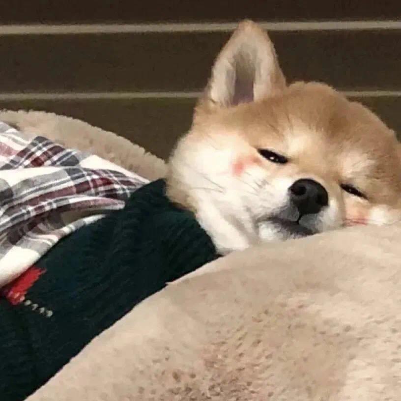 .🧸.