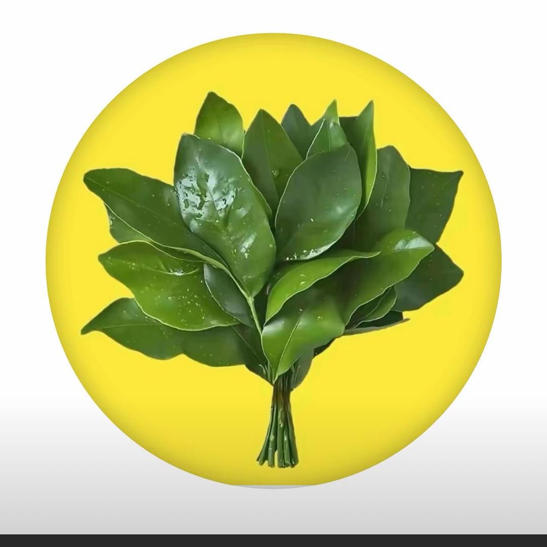 栀子花开