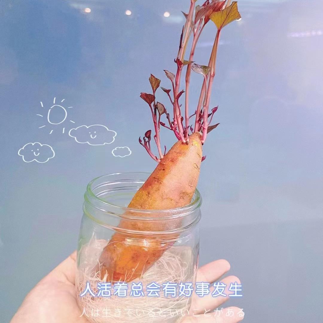 从心成长