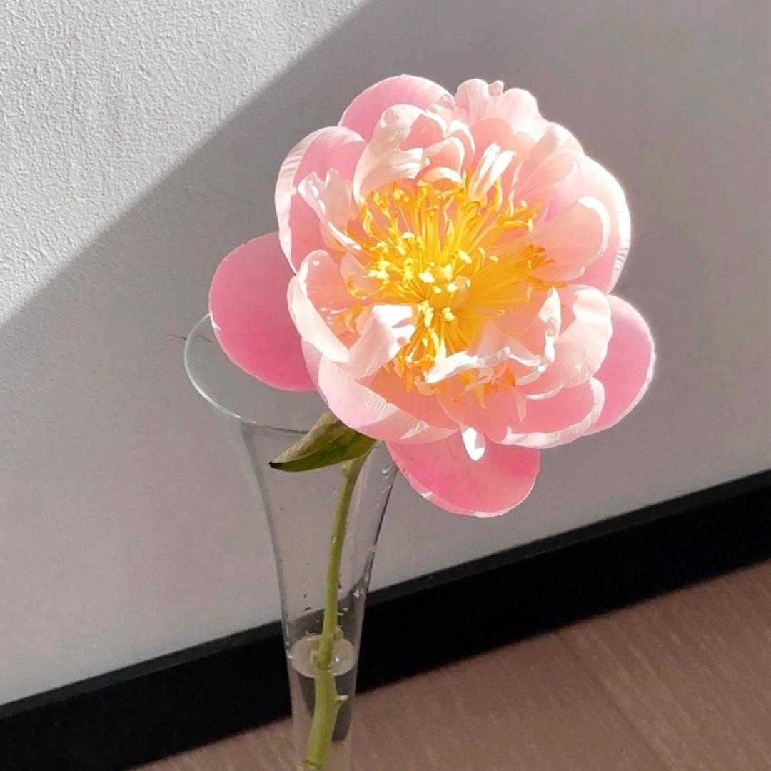厦门公寓出租😍(私言)