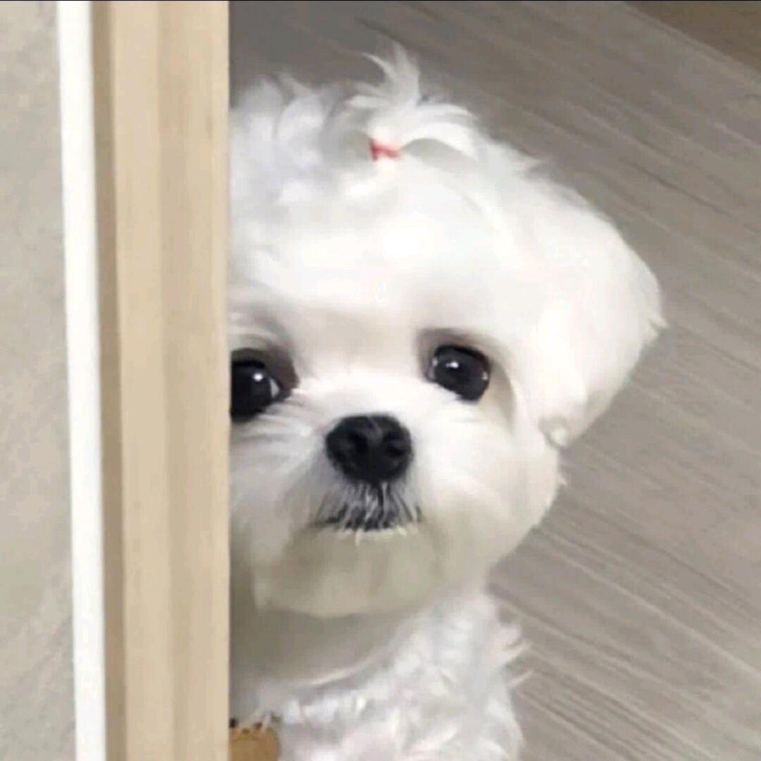 开心超人