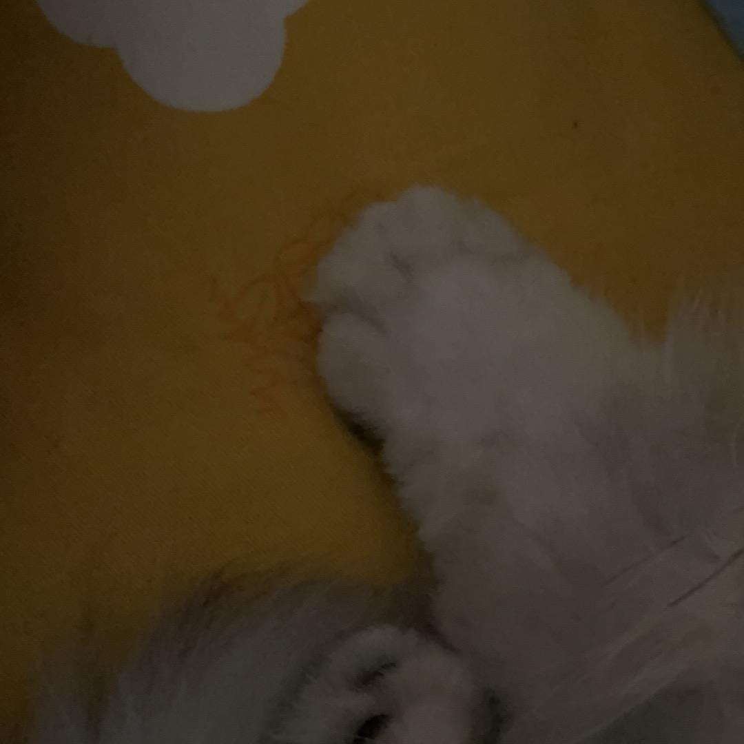 🌈萝卜