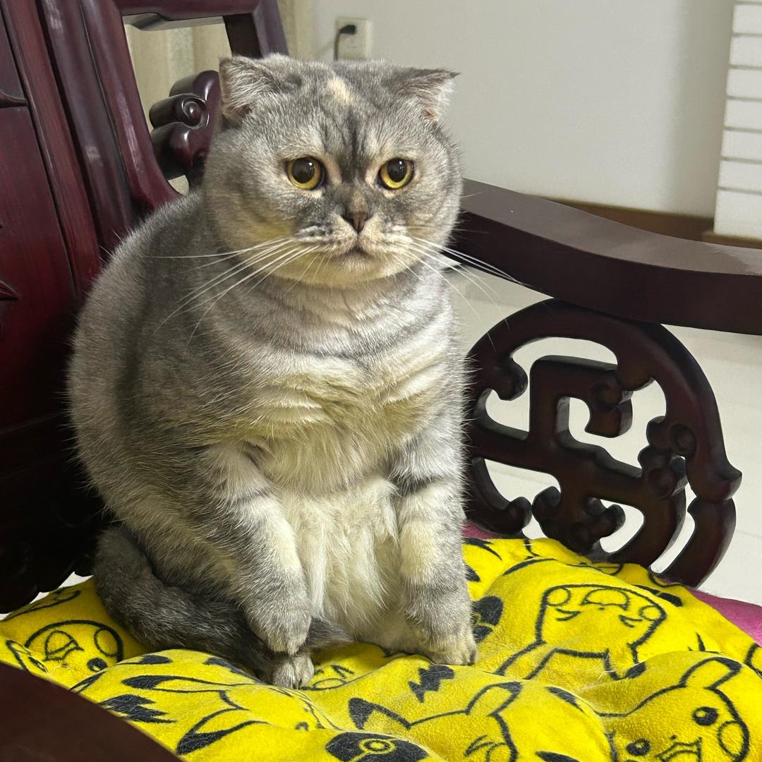 干饭王